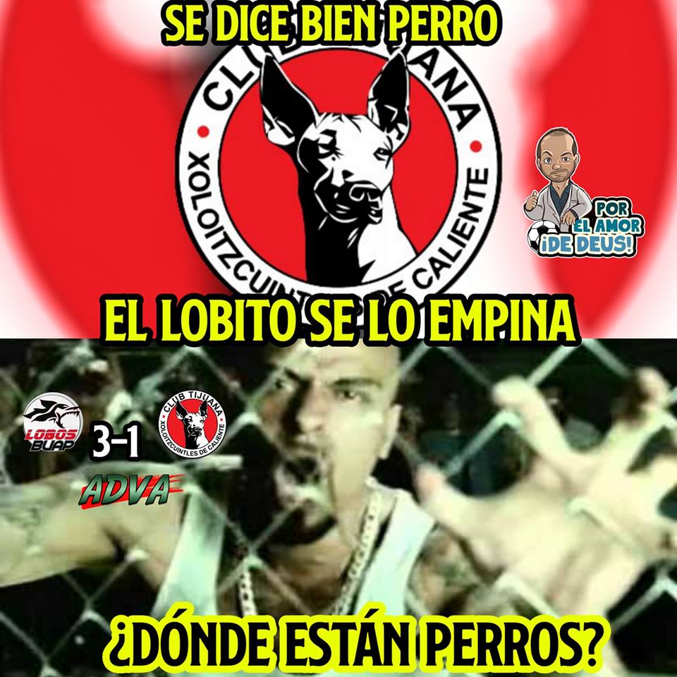 Chivas ama su disfraz de 'muerto' y Cruz Azul es el amo; memes de la Jornada 15