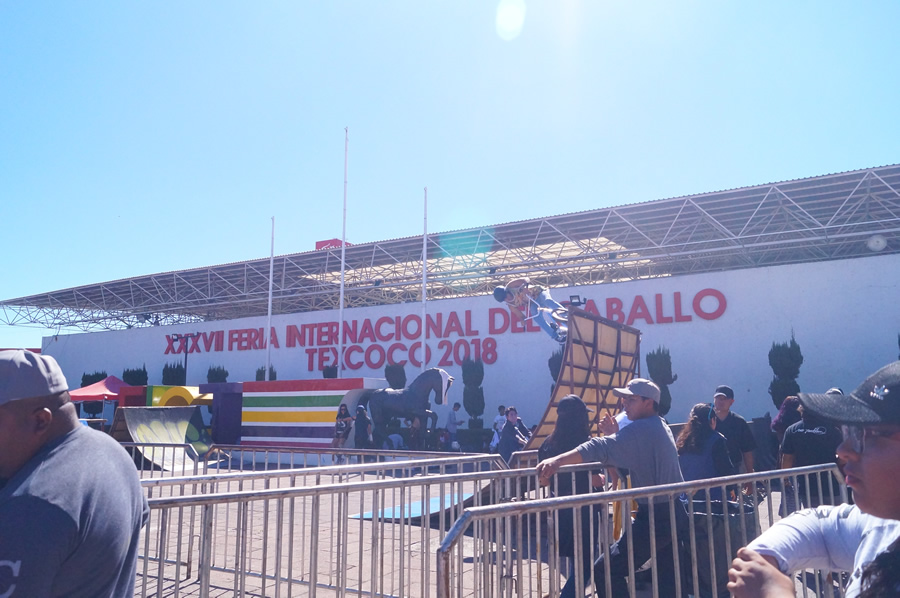 Lo mejor del SKATEX 2018 ¡En imágenes!