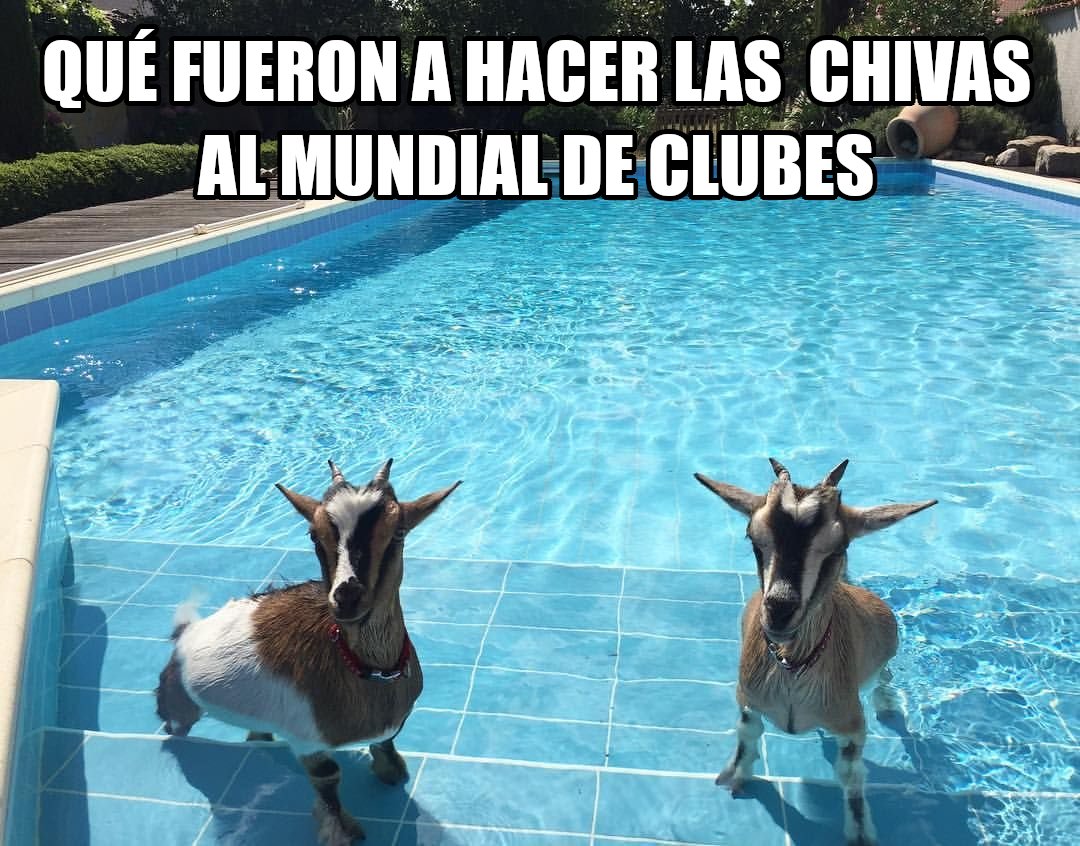 Chivas y su paseo por Emiratos Árabes con dos derrotas es motivo de memes