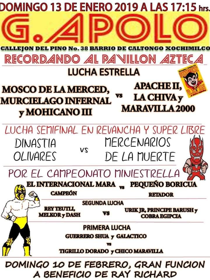 Carteleras de lucha libre del 9 al 15 de enero de 2019.