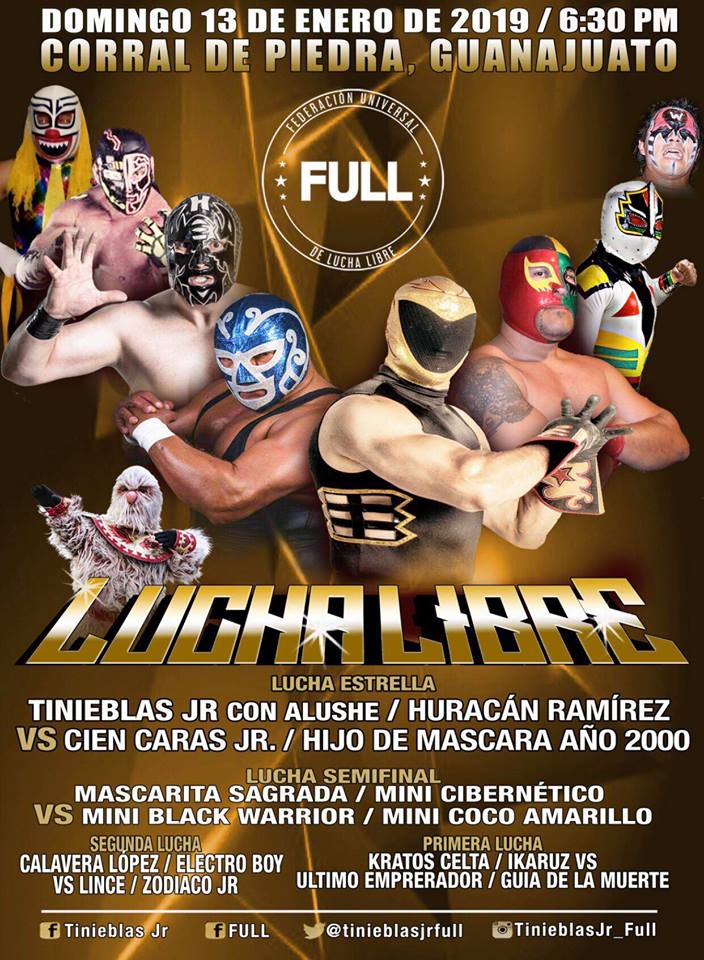 Carteleras de lucha libre del 9 al 15 de enero de 2019.