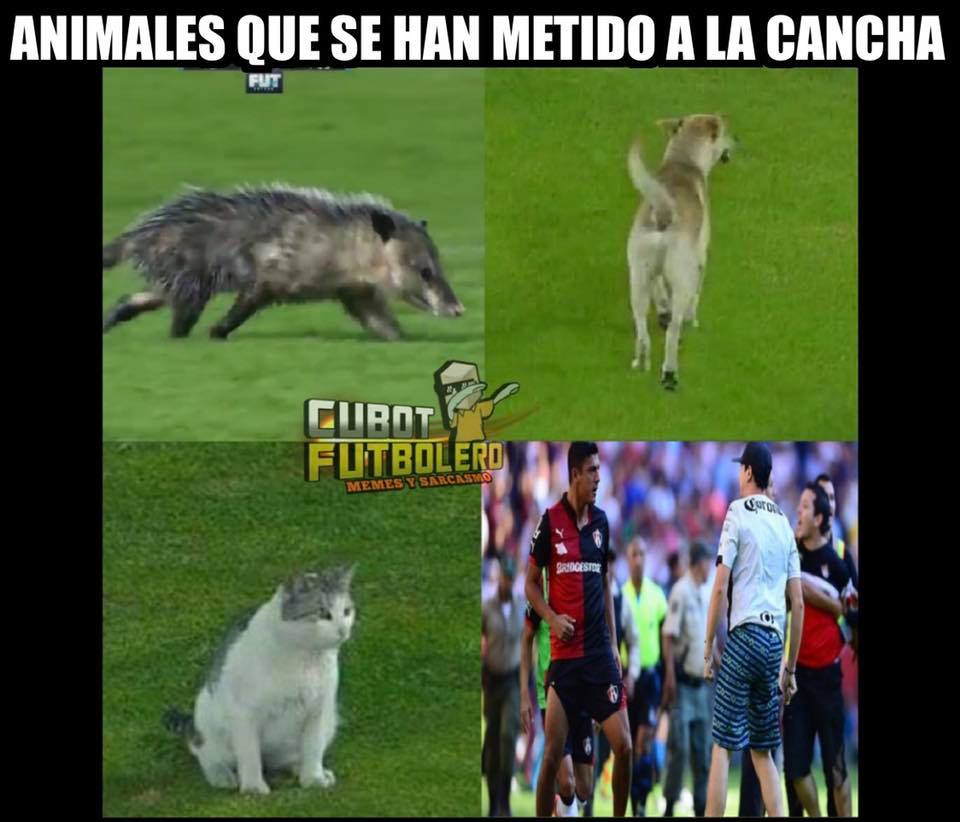 Los mejores memes de la Jornada 4 de la Liga MX