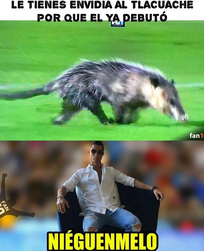 Los mejores memes de la Jornada 4 de la Liga MX