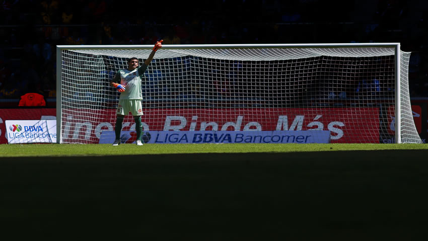 Toluca cayó -1 ante tigres en la Jornada 4 del Clausura 2019. (Foto: Imago7)