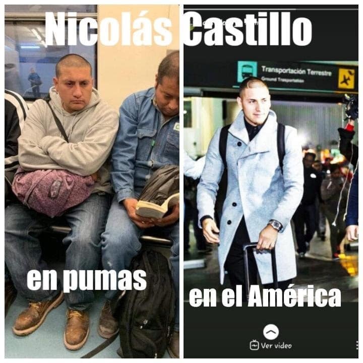 Nico Castillo memes.