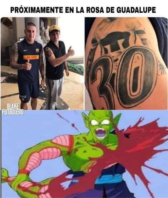 Nicolas Castillo Memes.