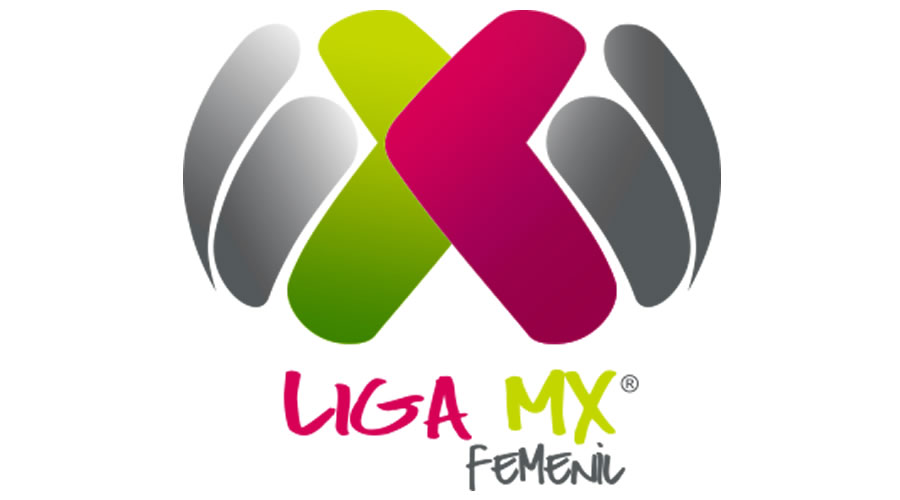 El futuro de la liga se decidirá en marzo. (Foto: FMF)