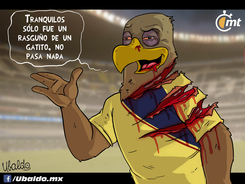 Pequeño rasguño
