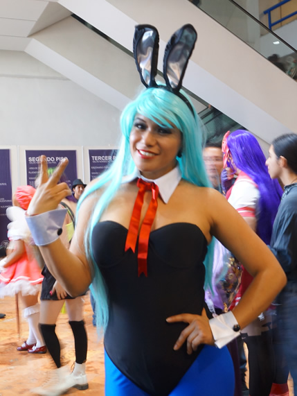 Bulma. (Foto: Aldo Pérez)
