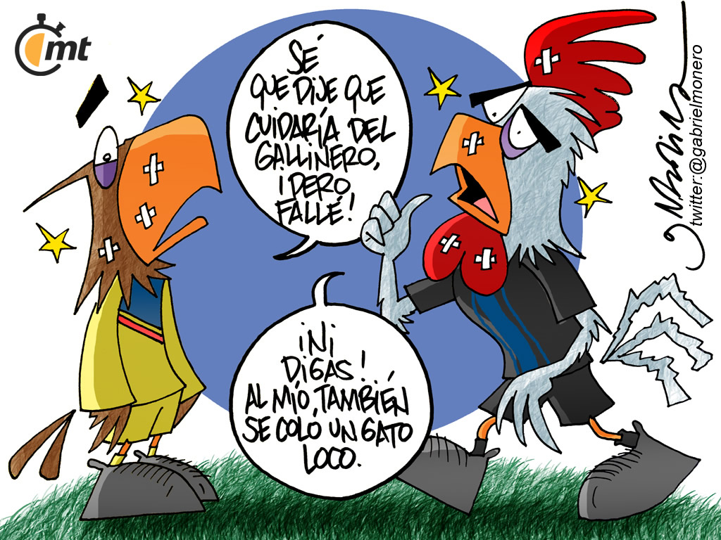 Visitas felinas