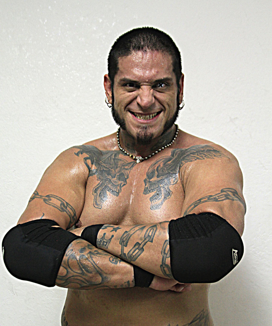 Cibernético