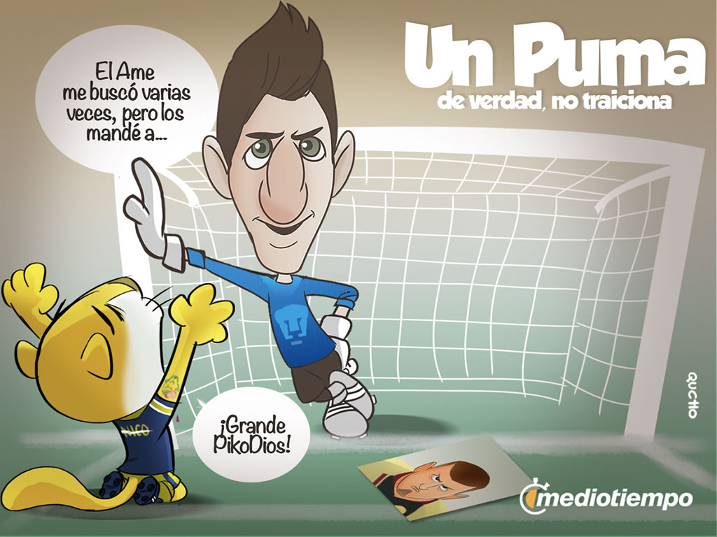 Un Puma de verdad