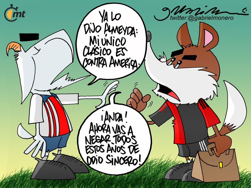 Zorro sentido