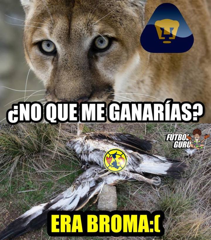 Memes del Pumas 1-0 América de la Jornada 7 del Clausura 2019 de la Liga MX