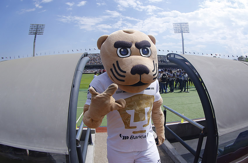 Los Esmeraldas derrotaron 1-3 a los universitarios en CU. (Foto: Imago7)