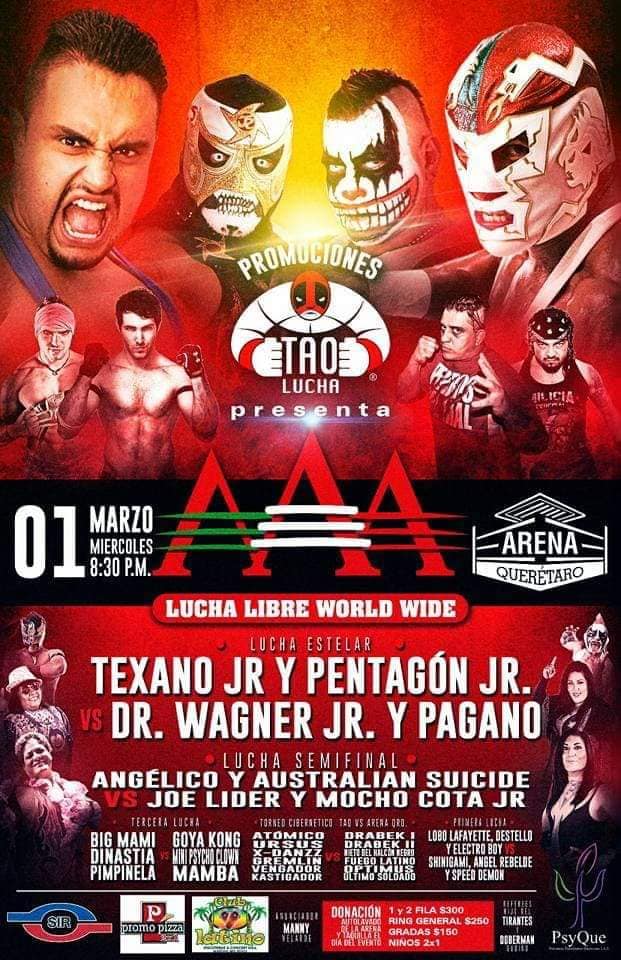 Lucha libre por todos lados.
