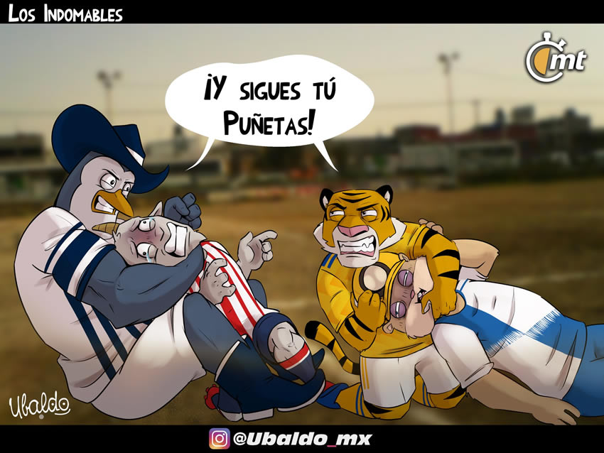 ¡Regios Indomables!