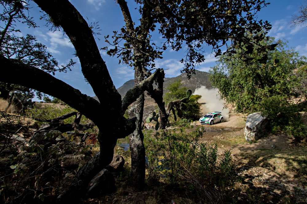 Las mejores postales del WRC Guanajuato 2019