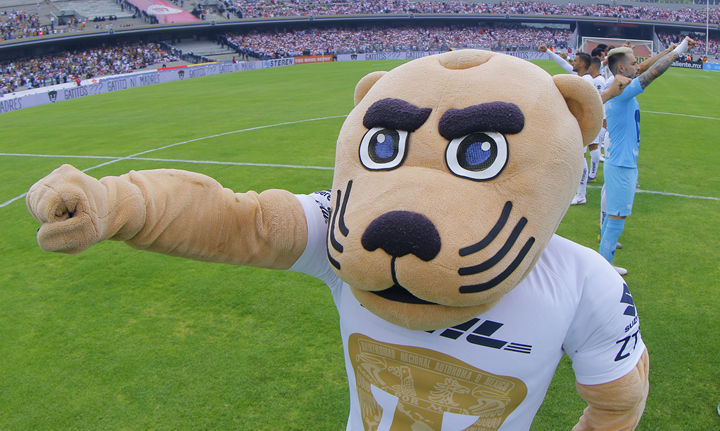 Pumas venció 2-1 a Chivas en la Jornada 12 del Clausura 2019 de la Liga MX. (Foto: Imago7)