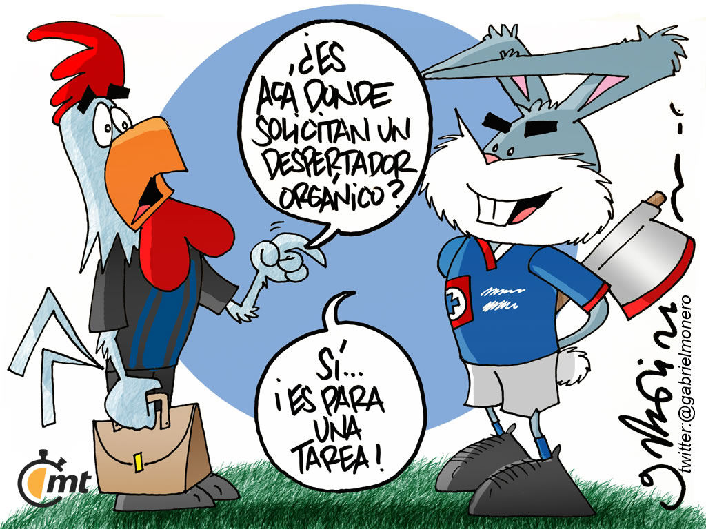 Reloj orgánico