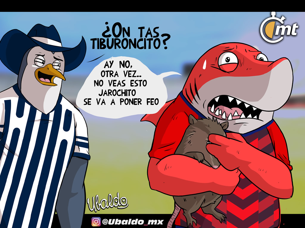 ¿On tas tiburoncito?