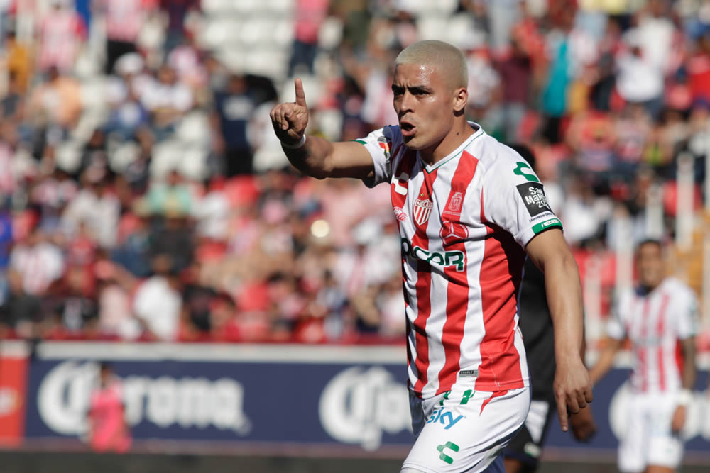 Necaxa vs Pachuca: Fotogalería Jornada 15 Clausura 2019, Liga MX