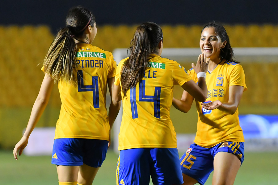 TIgres enfrentará por tercera ocasión al América en Liguilla. (Foto: Imago 7)