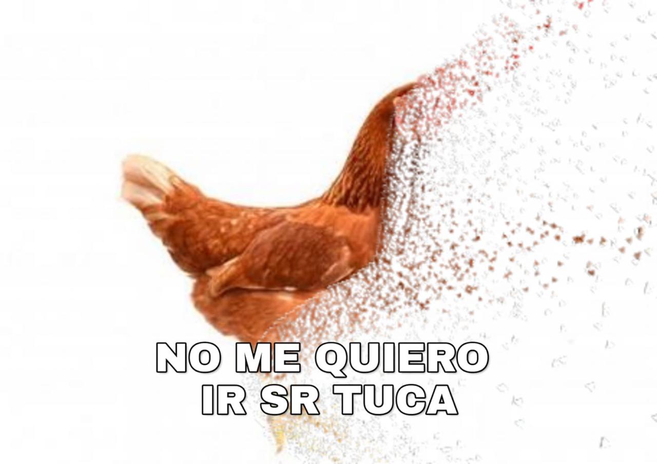 Los memes del Rayados vs Tigres en la Concacaf. (cortesía)