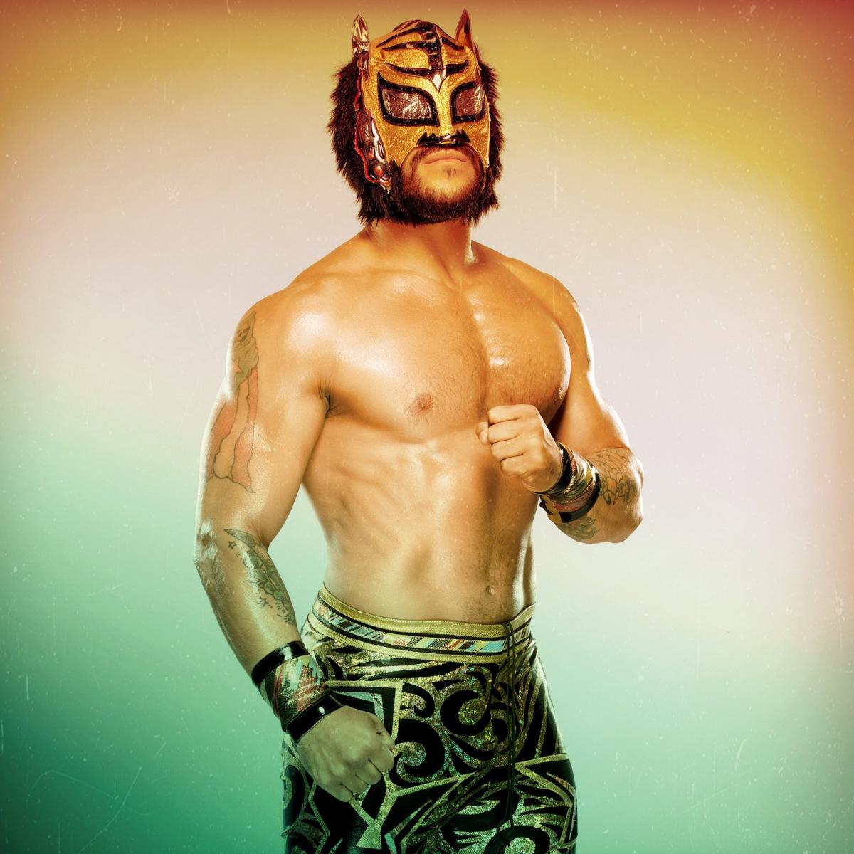 Máscaras de Kalisto, Gran Metalik, Rey Mysterio y Lince Dorado en WWE