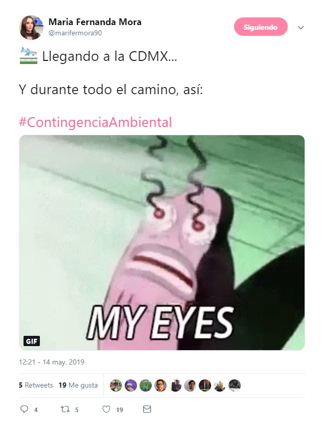 Fotogalería: Memes por la contingencia ambiental en la CDMX