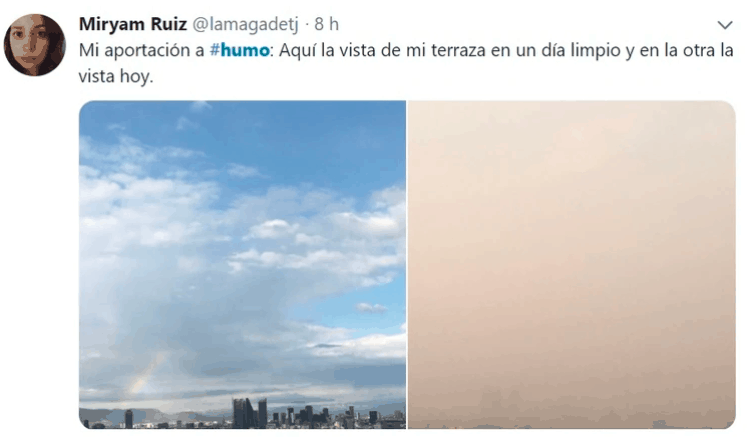 Fotogalería: Memes por la contingencia ambiental en la CDMX