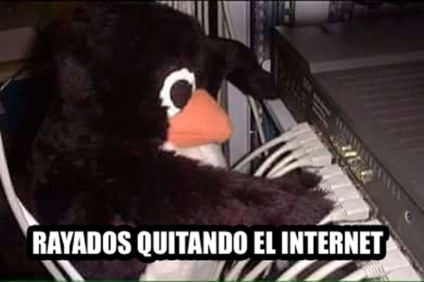 Tigres se llevó boleto a la Final; Rayados un montón de memes: Fotogalería