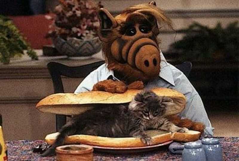 ALF: Primer capítulo 22 de septiembre de 1986 y su final 24 de marzo de 1990.