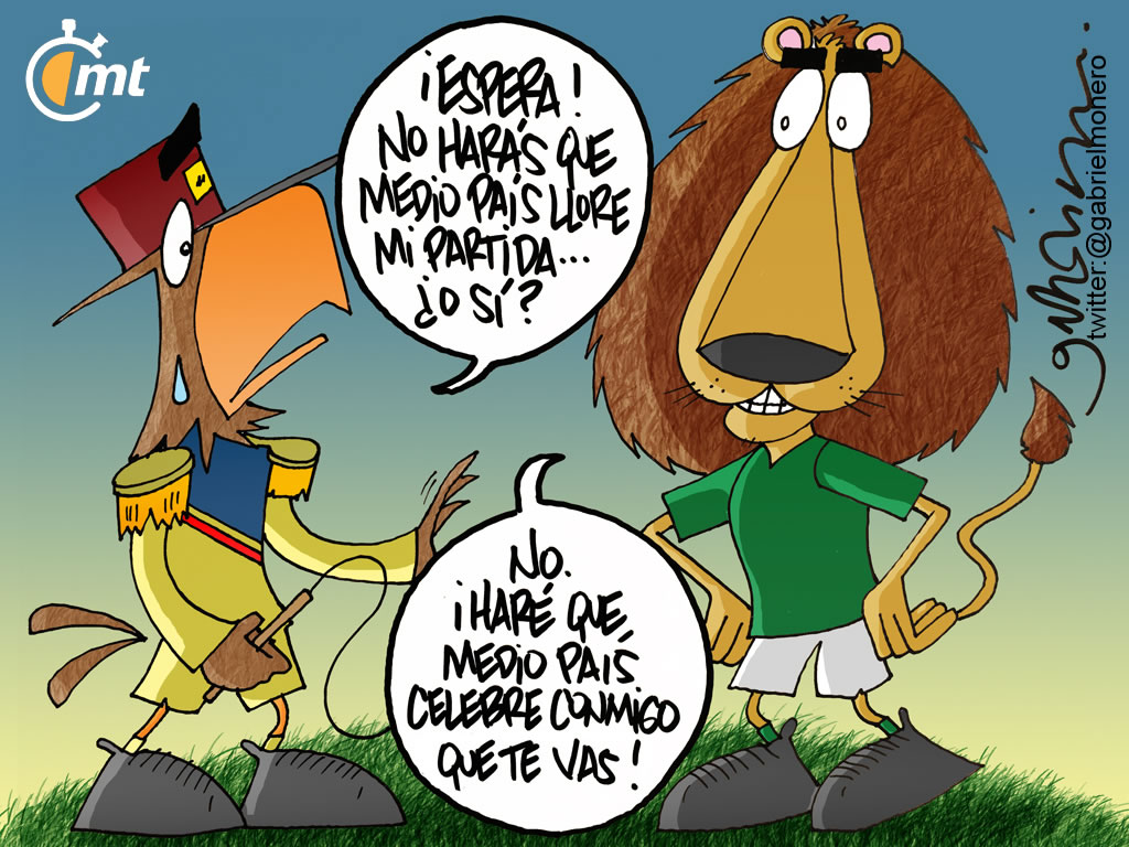 Cuestión de enfoques