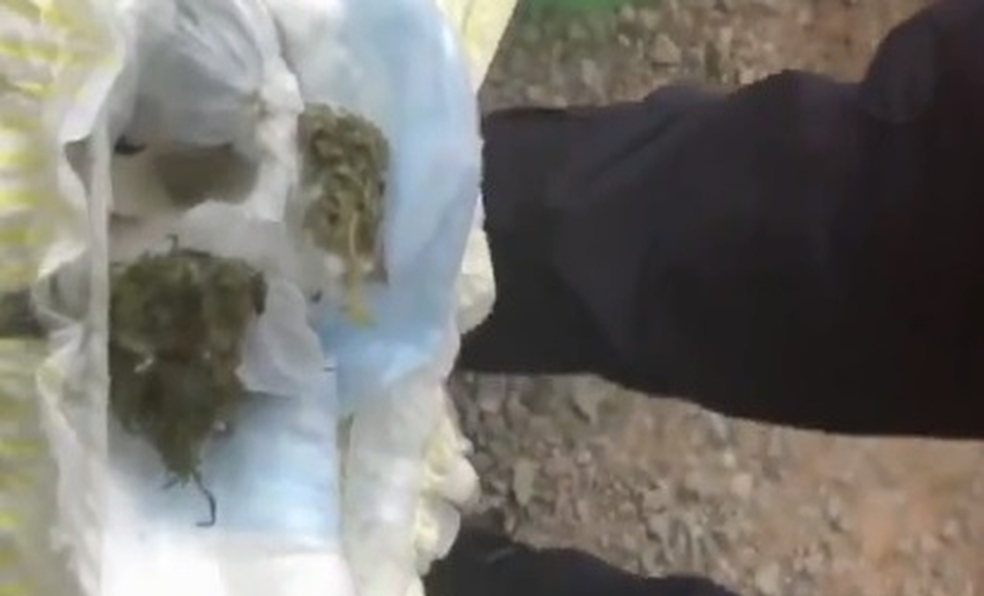 Mujer intenta ingresar marihuana a estadio en pañal de su bebé.
