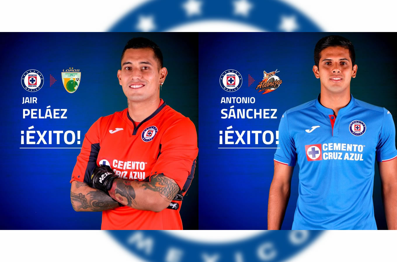 Los jugadores irán a los equipos de ascenso.