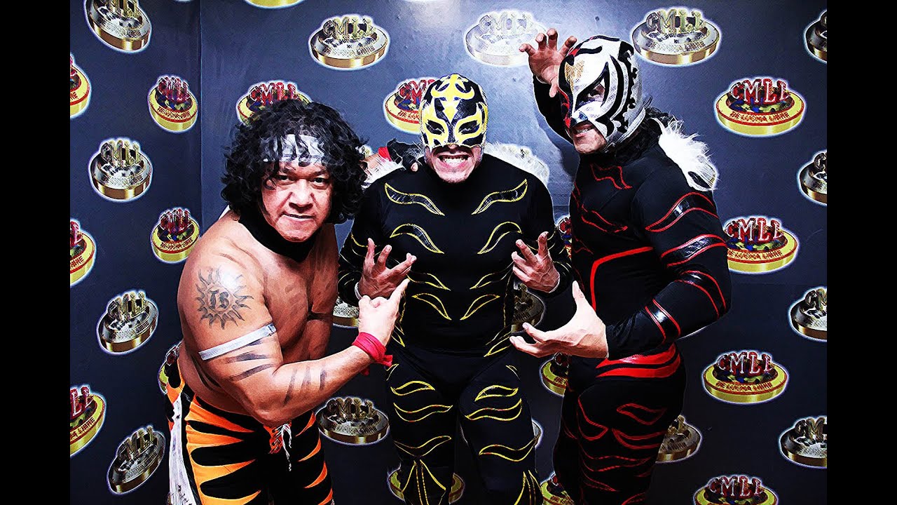Felino con Puma y Tiger.
