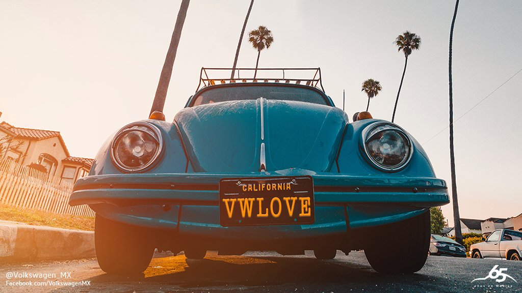 Día del Vocho: Las mejores fotos del histórico automóvil de Volkswagen; incluye Liga MX