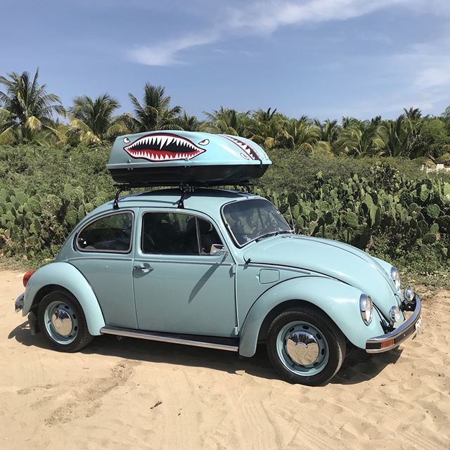Día del Vocho: Las mejores fotos del histórico automóvil de Volkswagen; incluye Liga MX