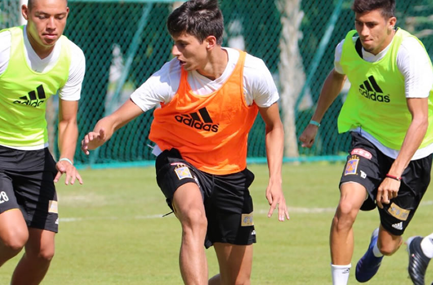 Damm resaltó su entusiasmo por encarar a América. (Tigres)