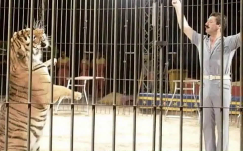 El ataque de los tigres duró 30 minutos. (Foto: Especial)