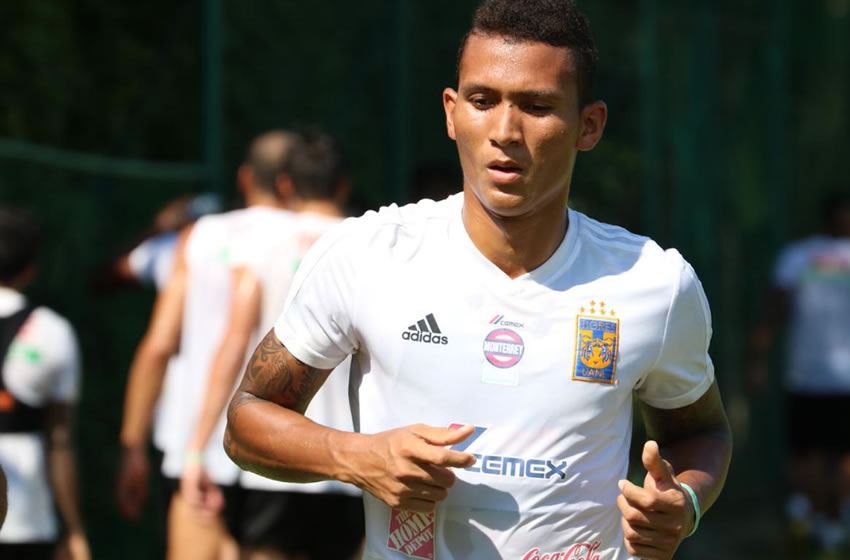 Meza se lastimaría el injerto que le pusieron en 2016. (Tigres)