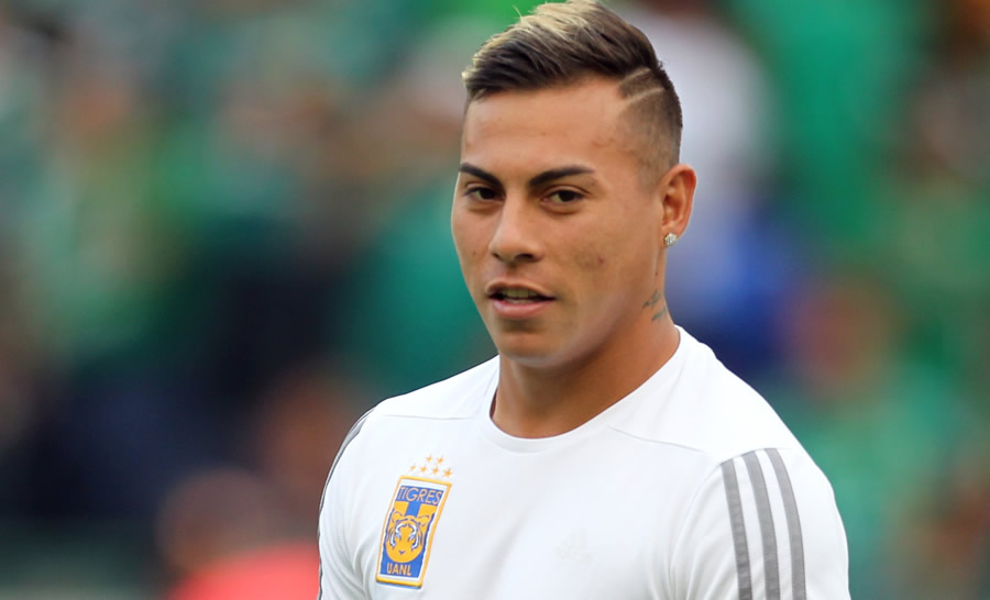 Vargas podría ser descartado por el conjunto canino.