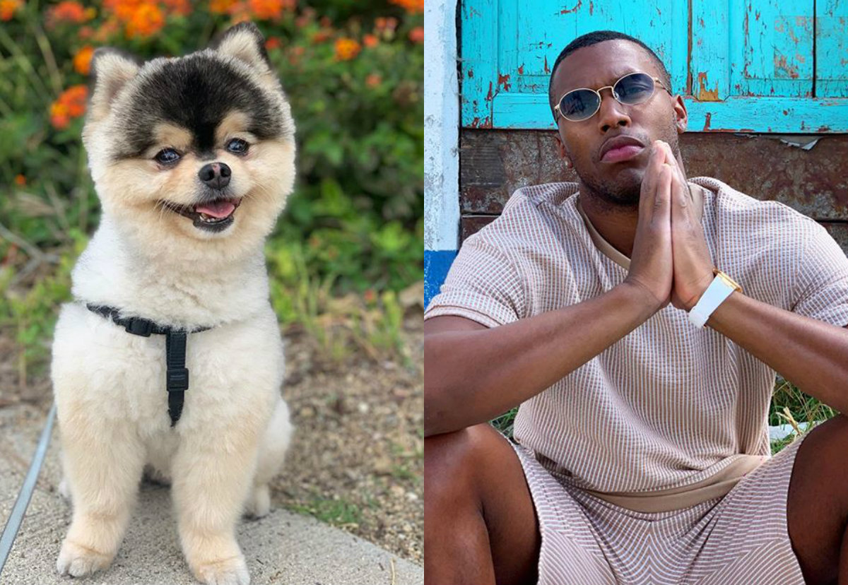 Daniel Sturridge recuperó a su mascota tras un robo en su casa.