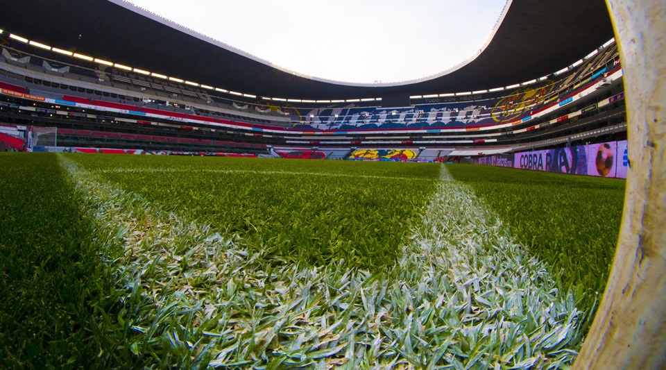 (Mexsport)
