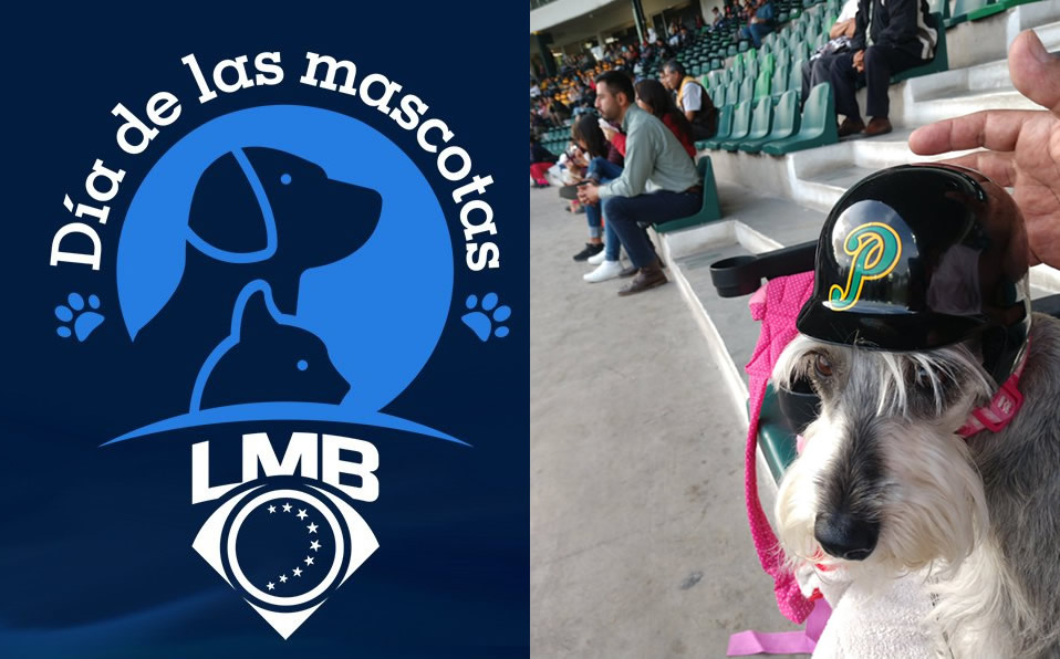 Las mascotas podrán entrar a un partido de beisbol. (especial)
