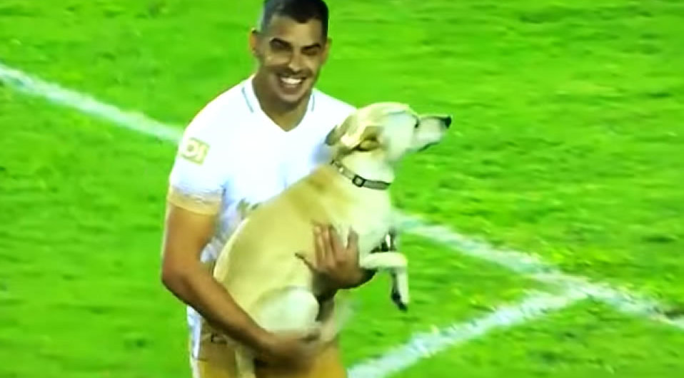 Alcoba sacando a un perro de la cancha con Pumas. (Youtube)