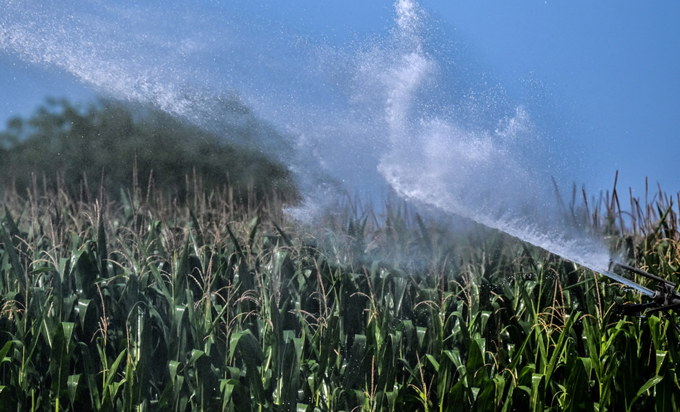 En Portugal se han registrado incendios debido al calor. (Foto: AFP)