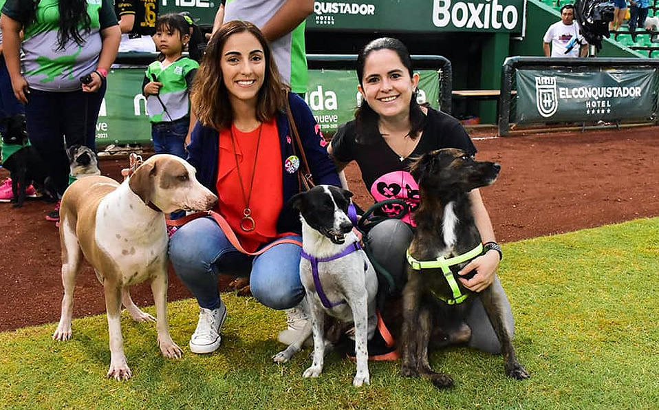 Algunos perros bajaron al campo como parte de la celebración del 'Día de la Mascota'