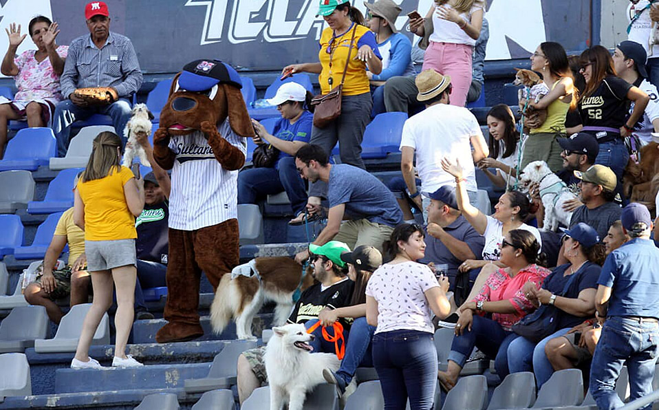 Una de las tribunas del Palacio Sultán con los visitantes que celebraron el 'Día de la Mascota'